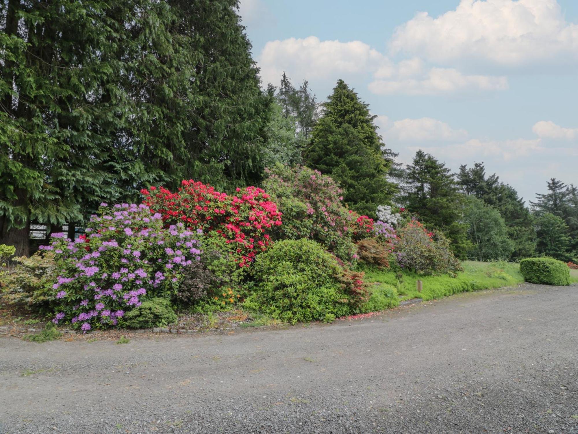 Fordie South Cottage クリフ エクステリア 写真
